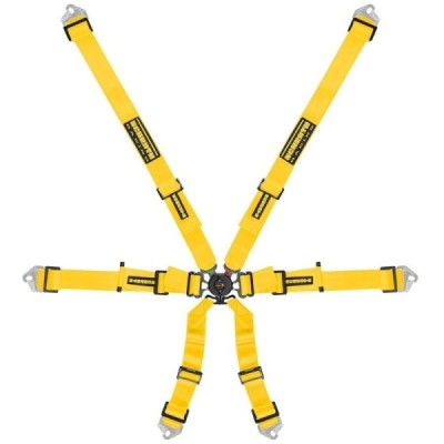 Pasy Schroth Flexi 2x2